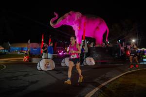 BIB: 
                            <button type="button" onclick="openModal(26552071)" class="btn btn-primary btn-sm float-right btn-popup" data-toggle="modal" data-target=".modal-high-quality">
                        <i class="fas fa-shopping-cart"></i> Add to Cart
                    </button>
                                            <button type="button" onclick="isThisMe(26552071, true)" class="btn btn-success btn-sm float-right btn-popup btn-isme hidden" data-toggle="tooltip" data-placement="bottom" title="นี่คือรูปของคุณใช่ไหม คลิกที่นี่เพื่อเอาเข้าอัลบั้ม">
                        <i class="fas fa-plus"></i> Add to album
                    </button>
                    <button type="button" onclick="isThisMe(26552071, false)" class="btn btn-warning btn-sm float-right btn-popup btn-isnotme hidden">
                        <i class="fas fa-ban"></i> Remove from album
                    </button>